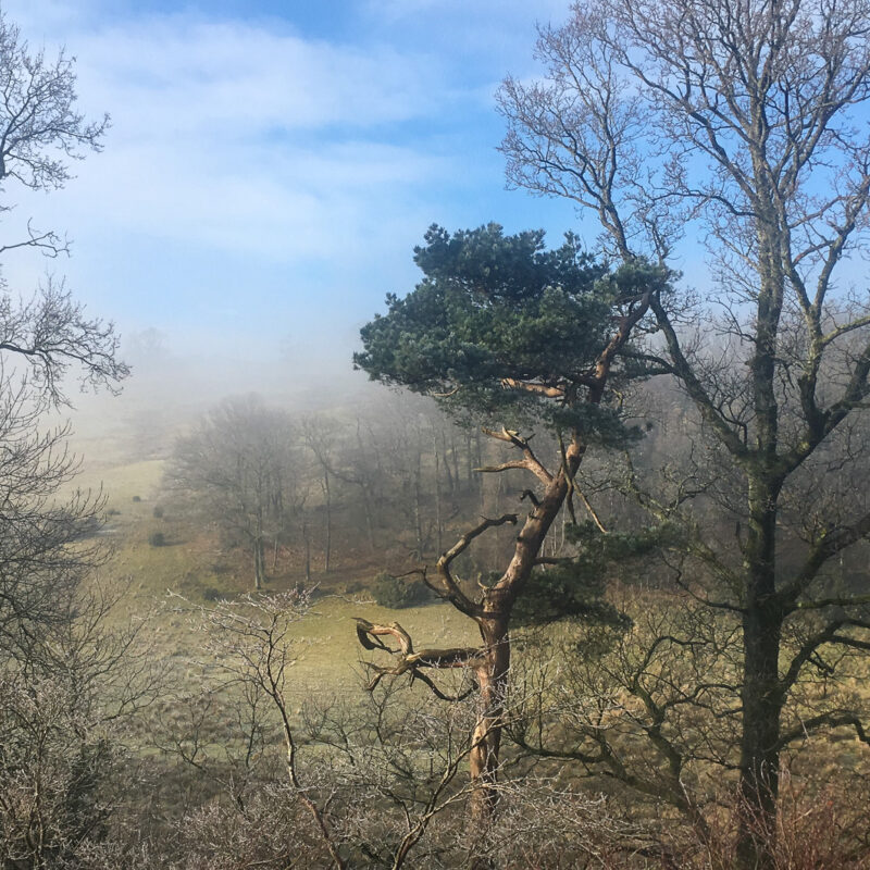 view from house bedroom